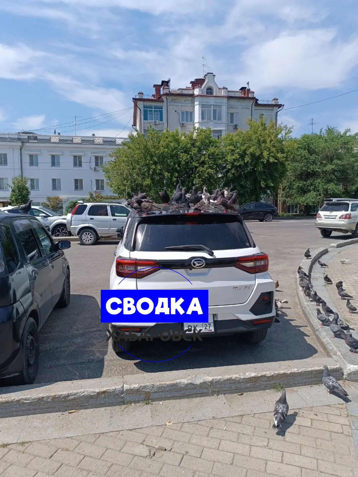 🙃 Чуть не закончились трагедией покатушки юных гонщиков в Хабаровском крае