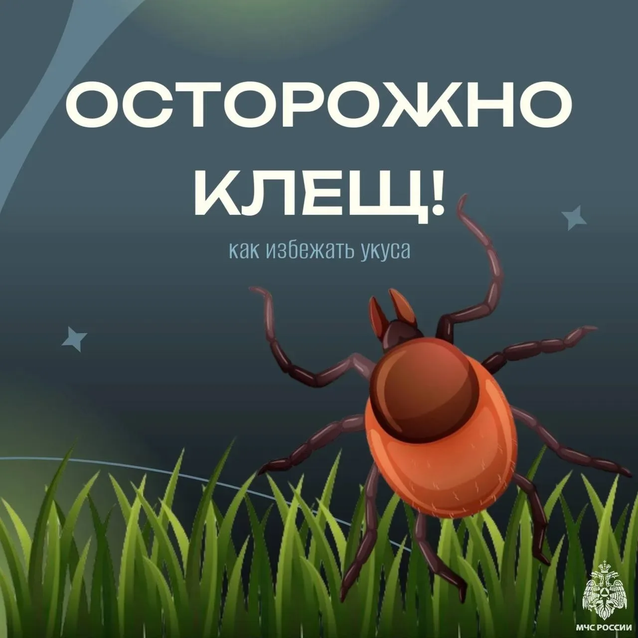 Осторожно: клещи❗️
