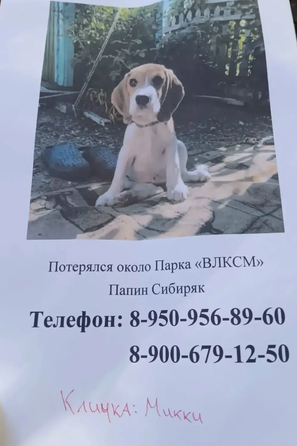 📍 Омск