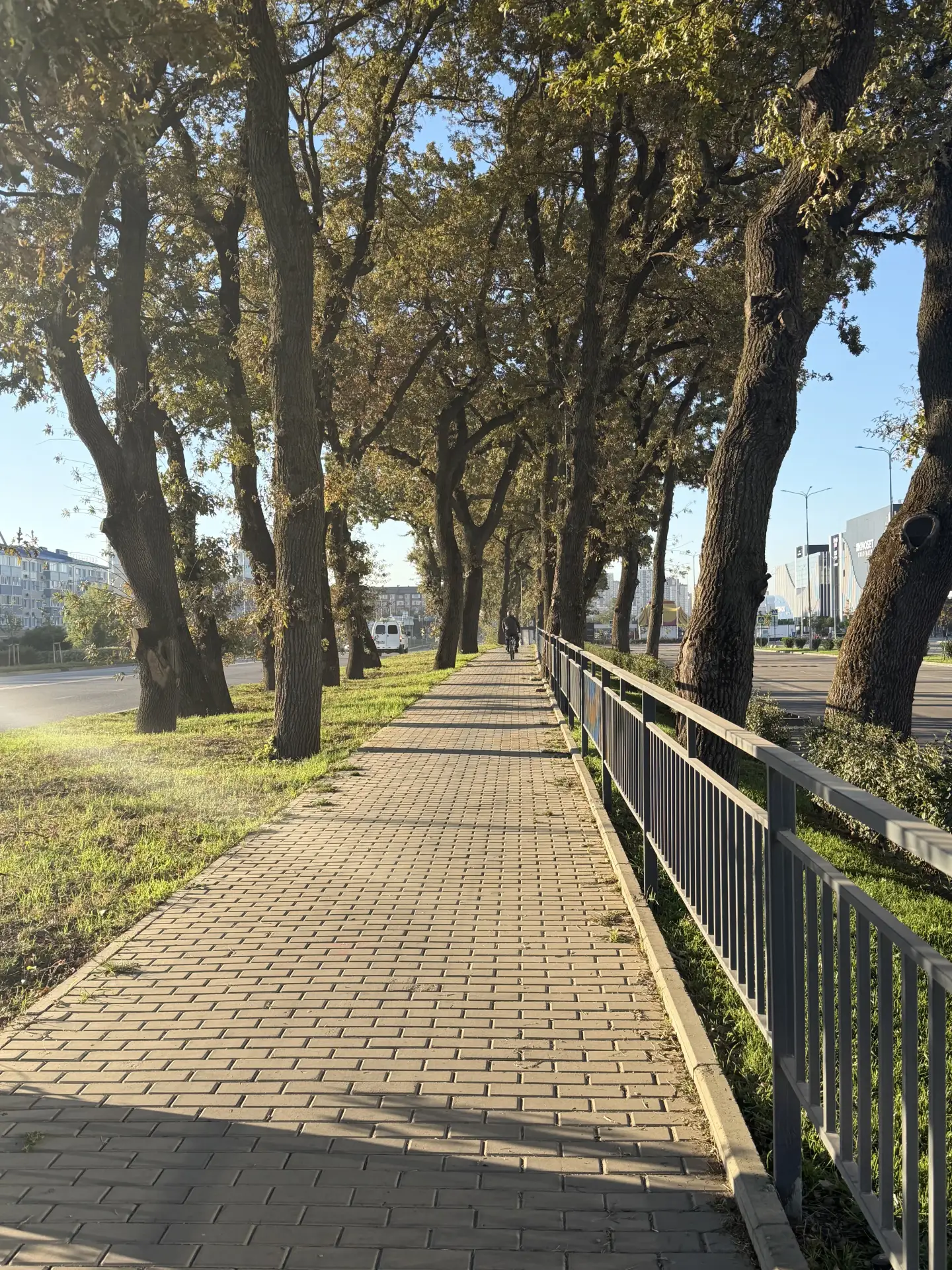 Мой понедельник начался с прогулки 🌳🌳🌳
