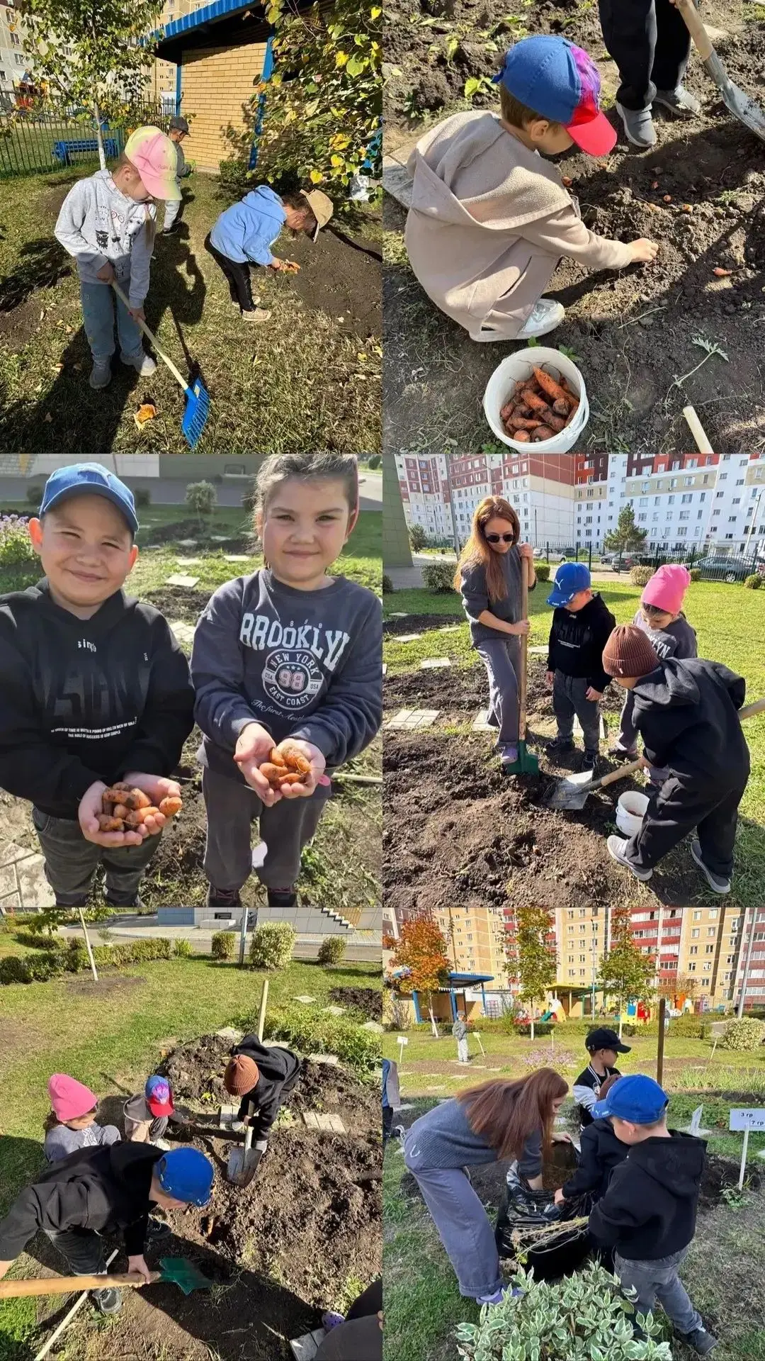 Уборка урожая в нашем детском саду!
