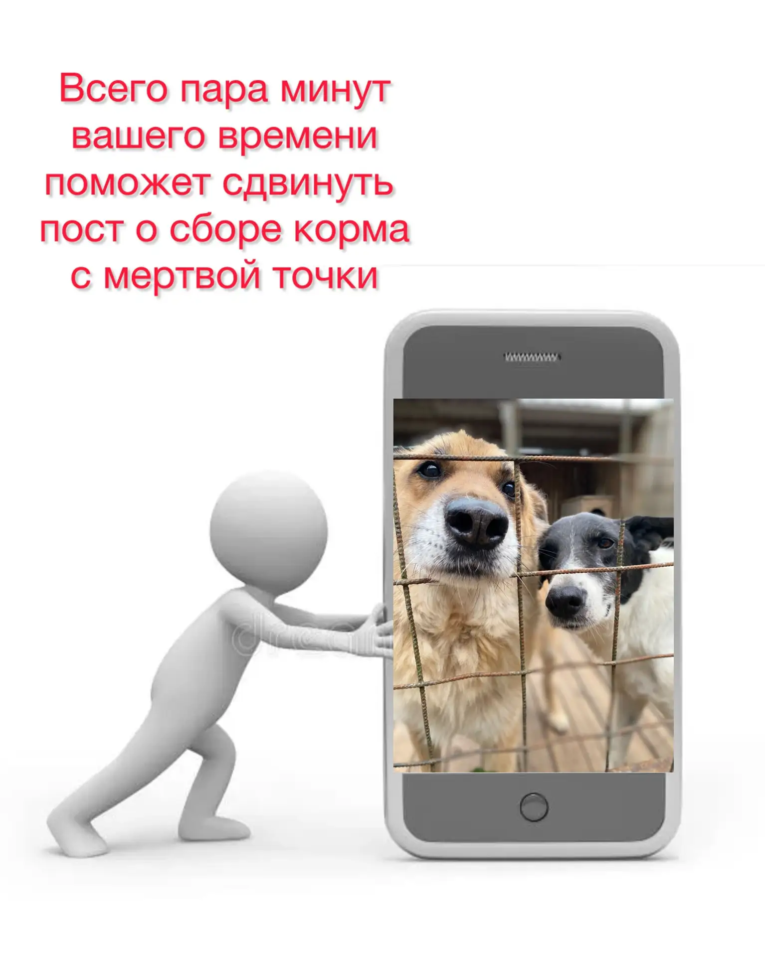 Друзья, спасибо всем, кто уже видел наш пост о сборе корма. Но алгоритмы соцсетей беспощадны: если п