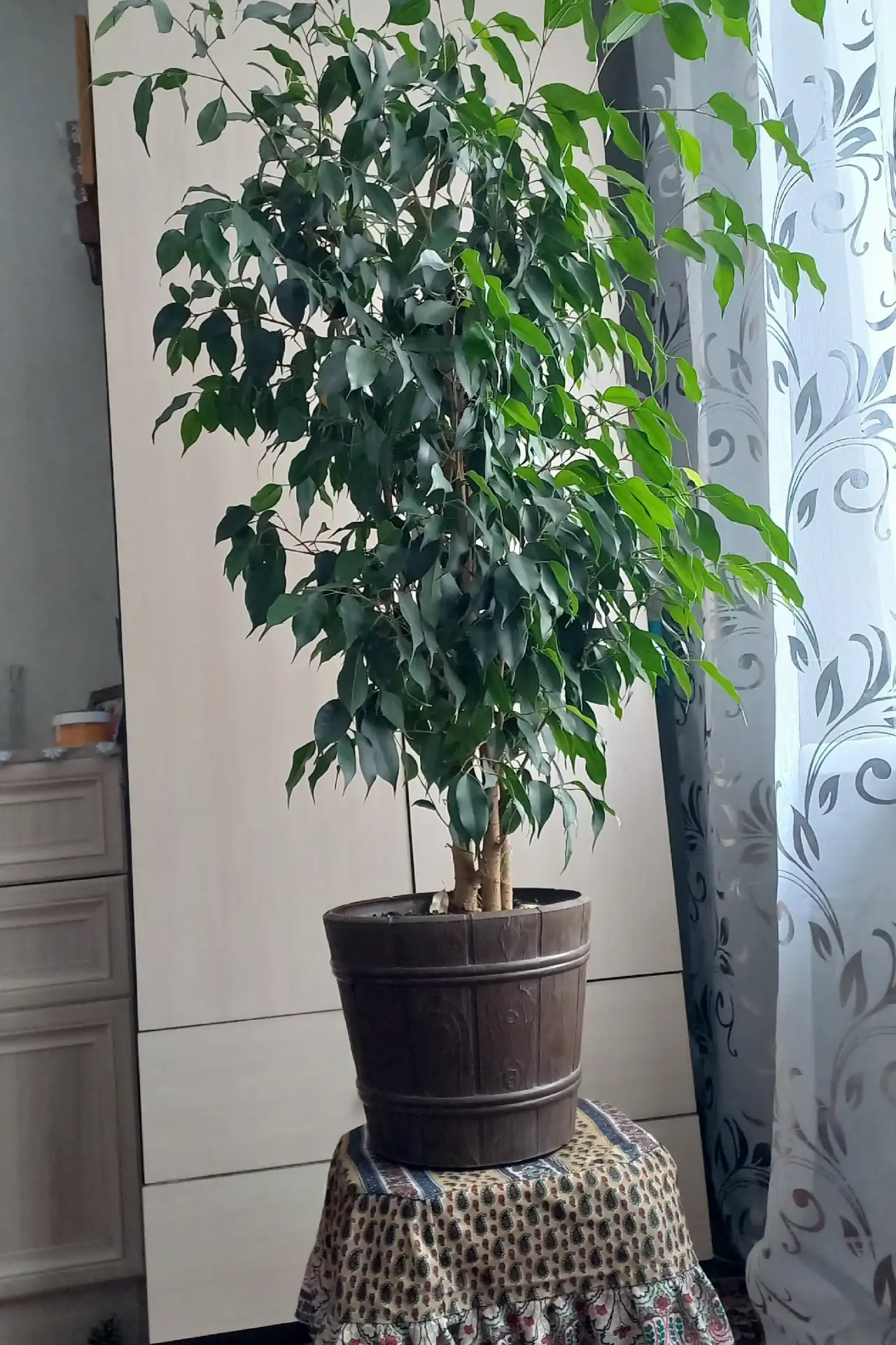 Продам,3000т.р.,телефон для связи 8 903 873-51-12