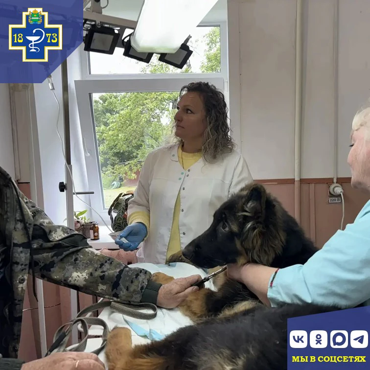 🐾 Ветеринарные будни специалистов Мещовского отдела ГБУ КО "Сухиничская межрайонная ве...