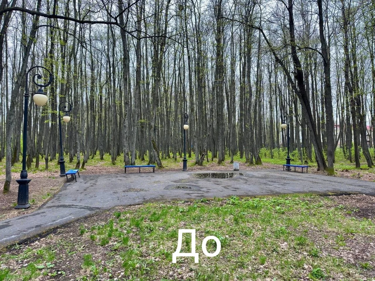 🌳Липовую рощу обновили в Тобольске

В микрорайоне Сумкино сохранили зелёную зону и добавили больше 