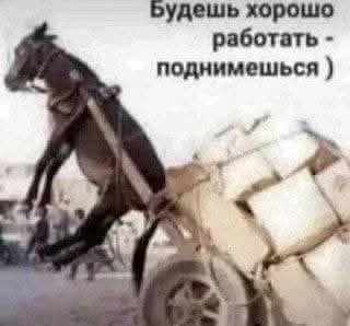 Много работать для увеличения дохода — очень плохая идея.