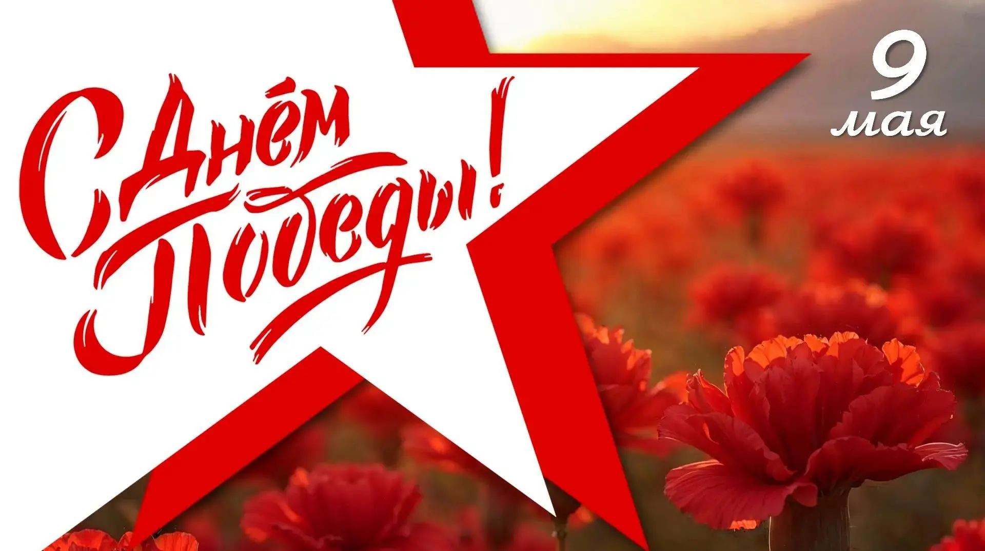 Дорогие друзья! Уважаемые коллеги и партнеры!