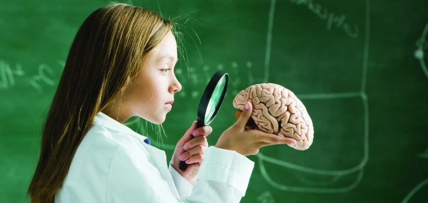 🧠 Окно возможностей: почему важно успеть до 9 лет

Мозг ребенка невероятно пластичен, но эта суперс