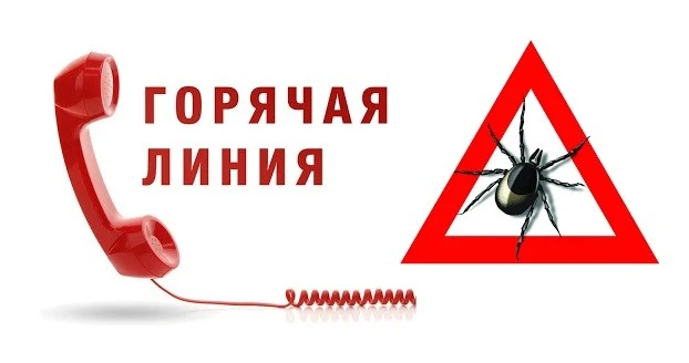 с 27 апреля по 10 мая 2026 года в Управлении Роспотребнадзора по Томской области будет ...
