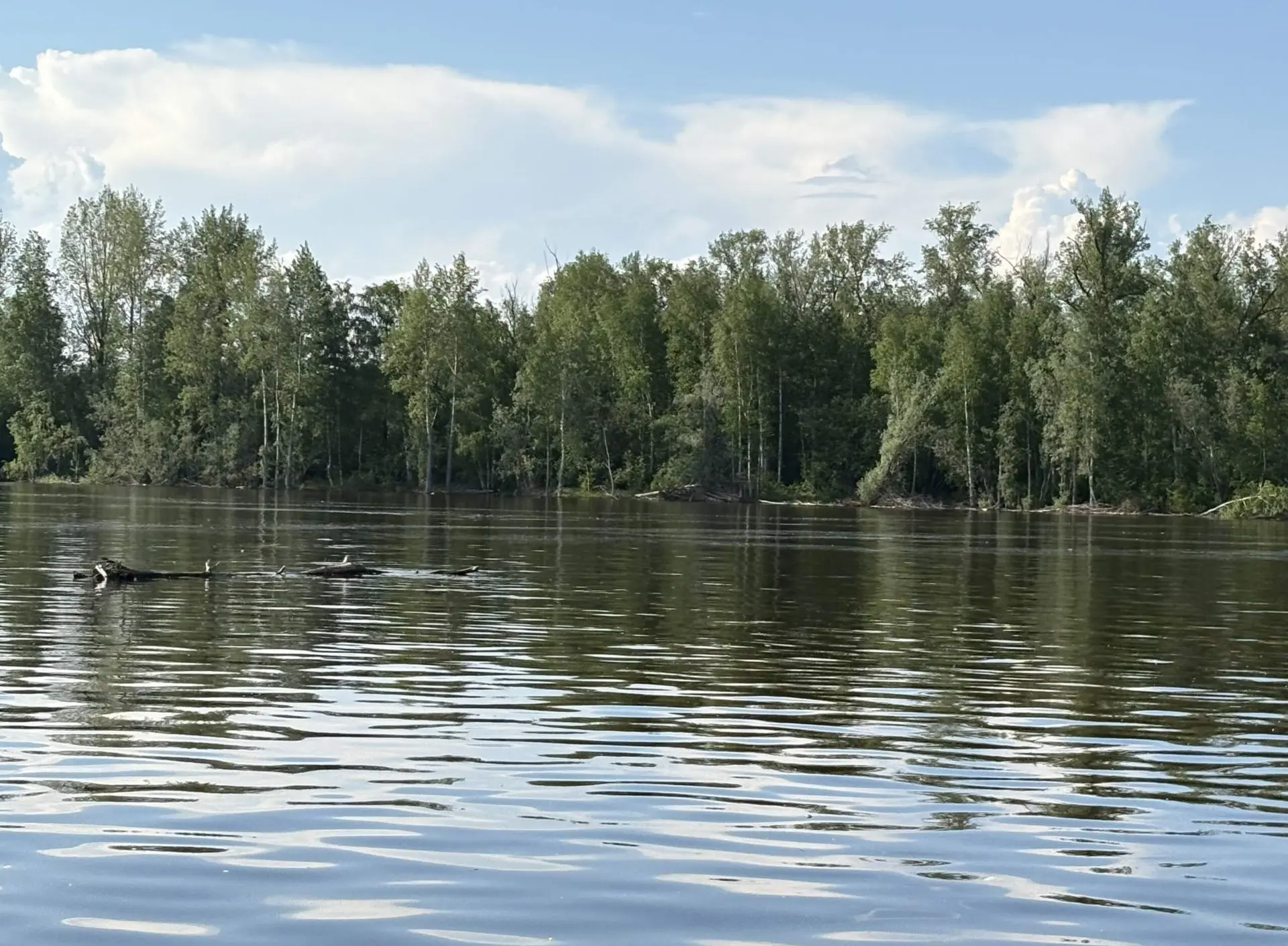 Уровень воды в главной водной артерии региона реке Обь, по данным наблюдений на 24 июня остановился 