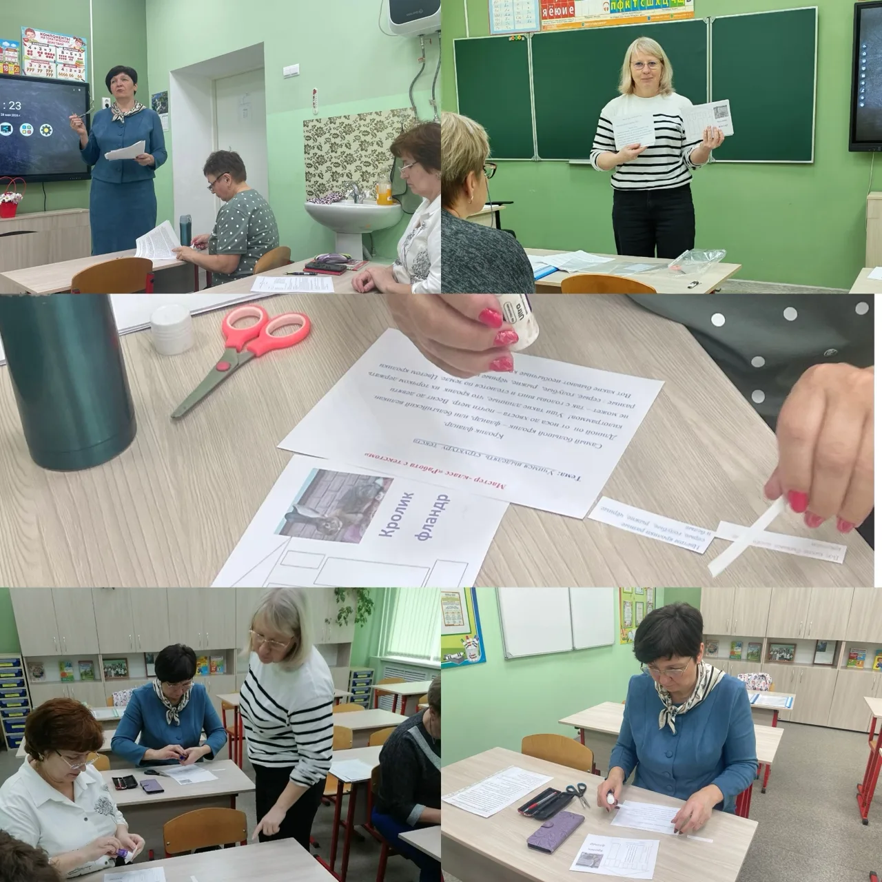 28.05.2026 Учителя начальных классов Разжигаева Н.В. и Метельская Е. В. приняли участие...