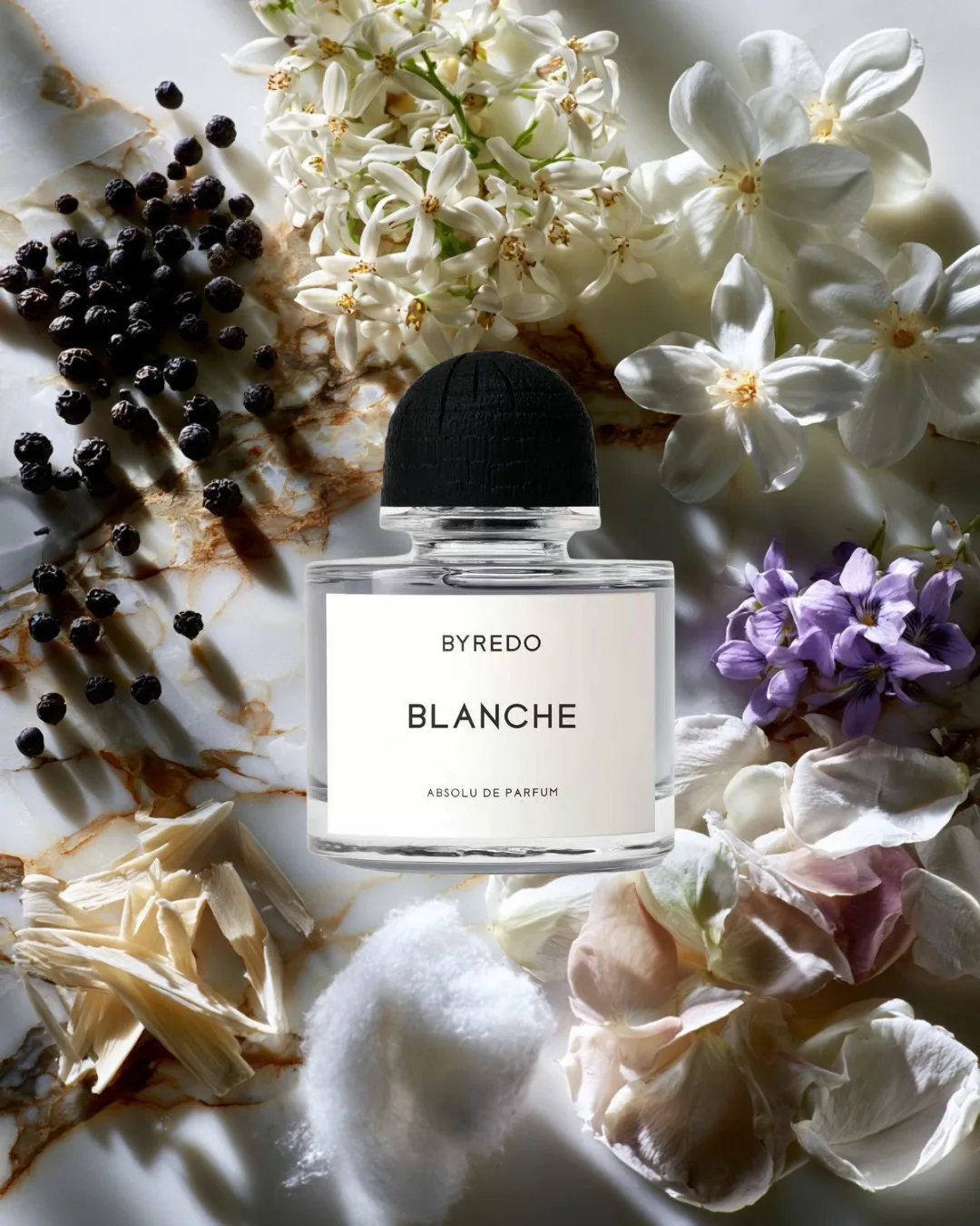 🤍 BLANCHE ABSOLU · BYREDO