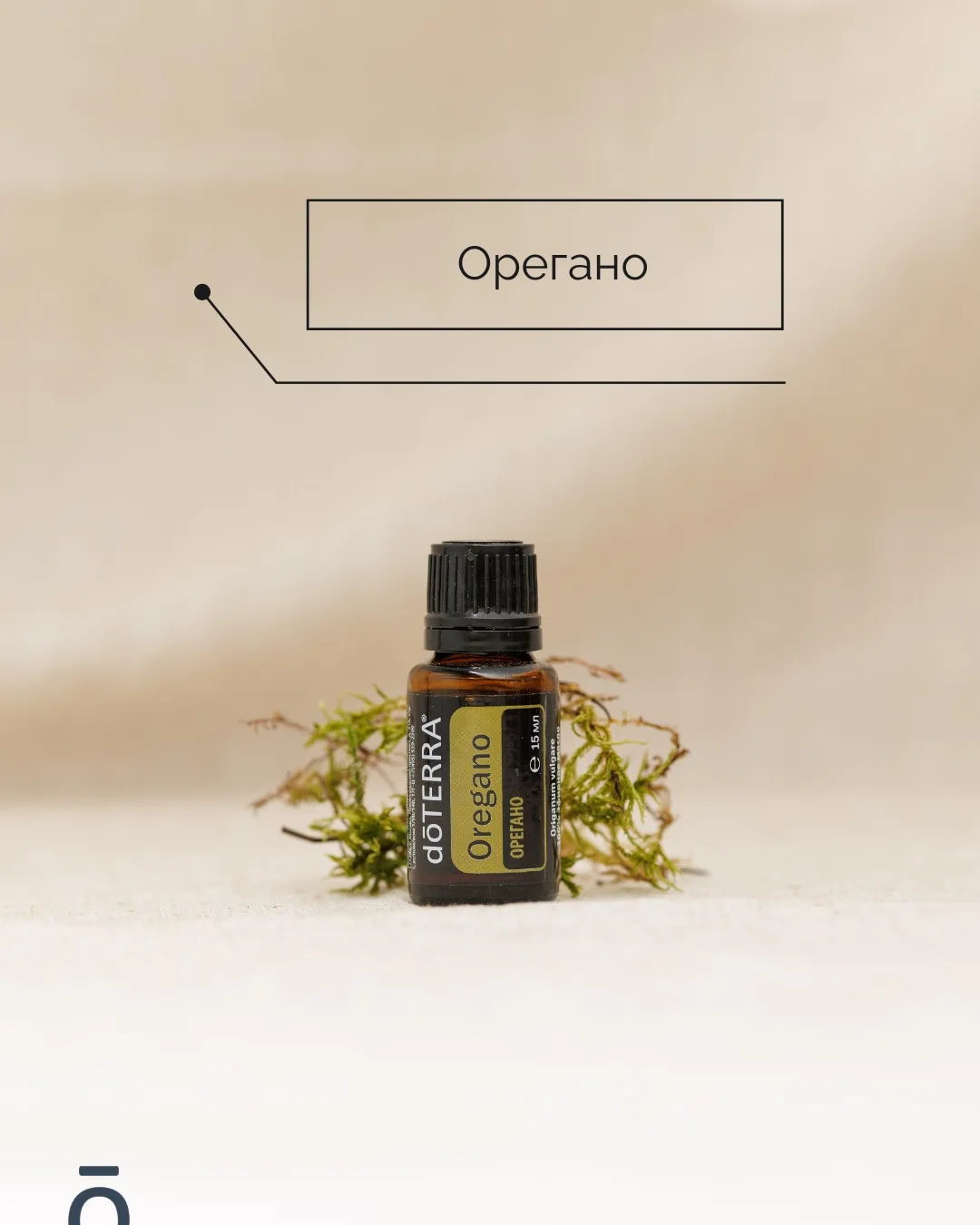 Ответ.