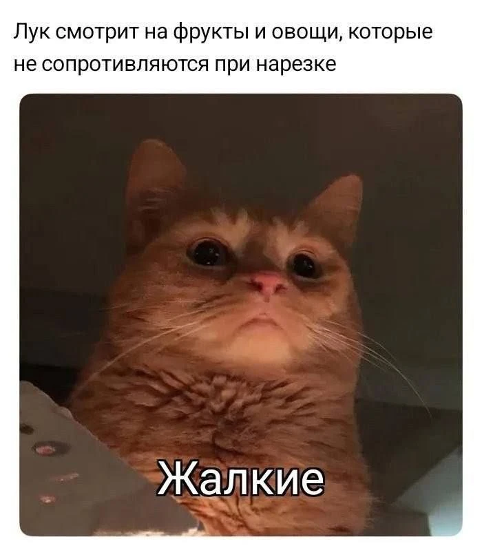 @memachh