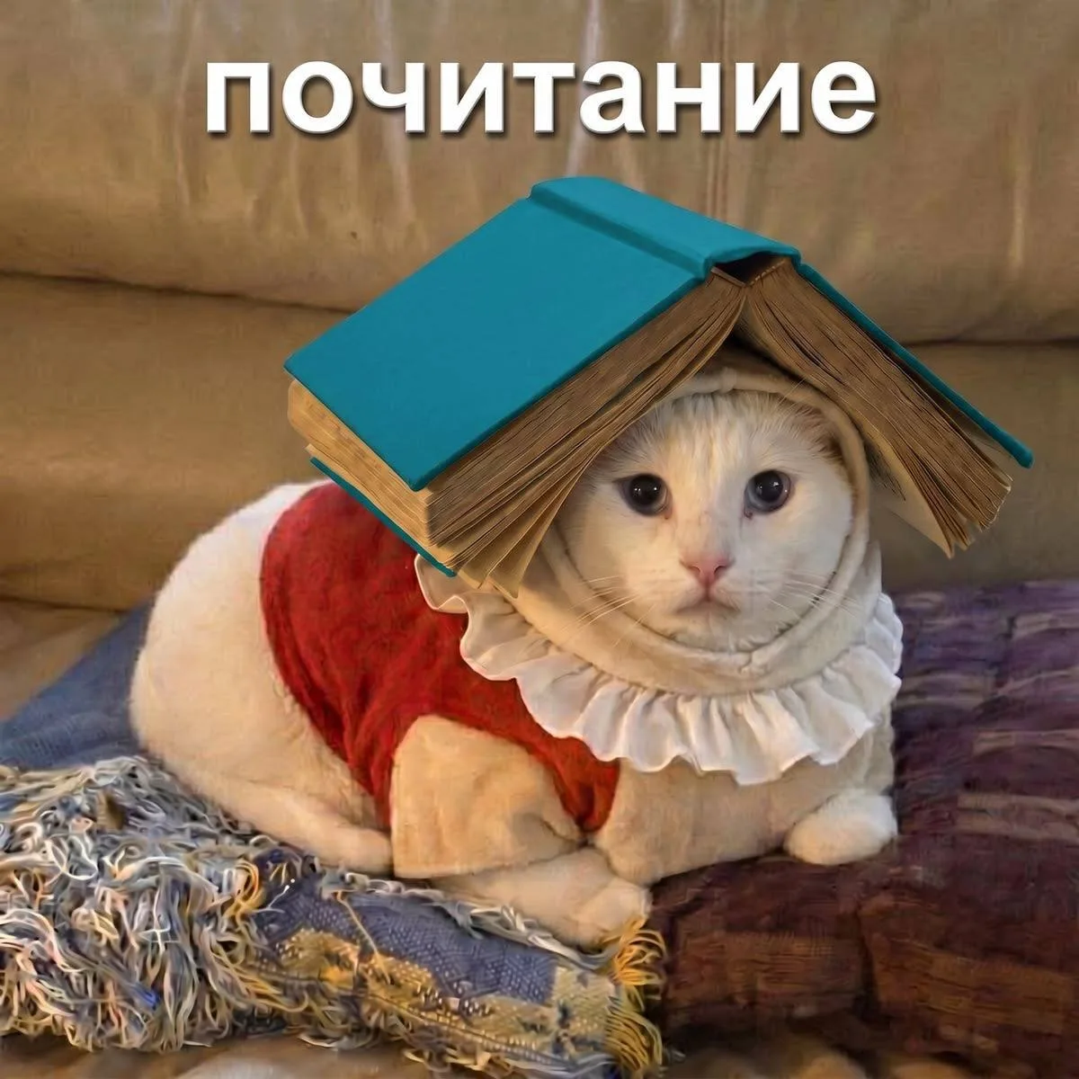 П Е П Т И Д Ы в косметике

Представьте, что вам показали всего несколько букв:

К-О-Т

Всего три бук