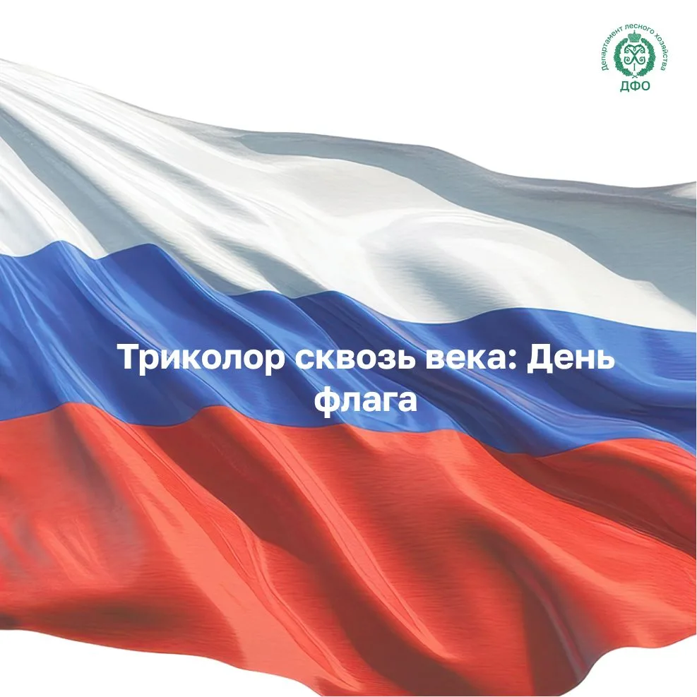 🇷🇺 Триколор сквозь века: коллектив Департамента вспомнил об истории государственного ...