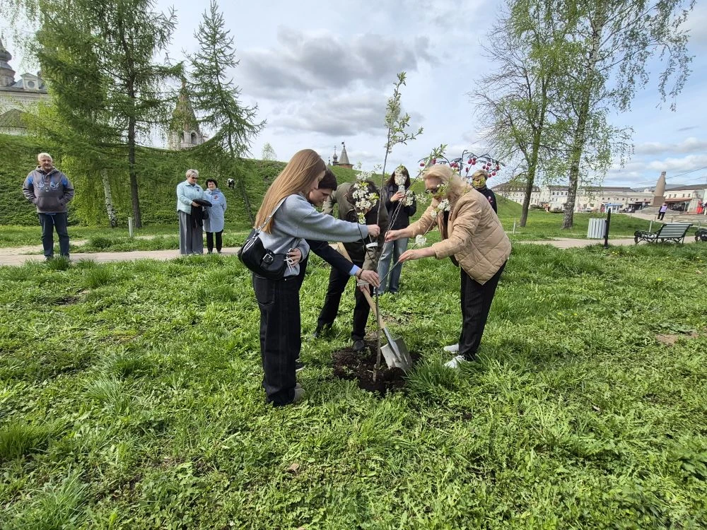 🌳 Акция «Сад памяти» в Юрьев-Польском   Сегодня, в День Победы, администрацией Юрьев-Польского округ