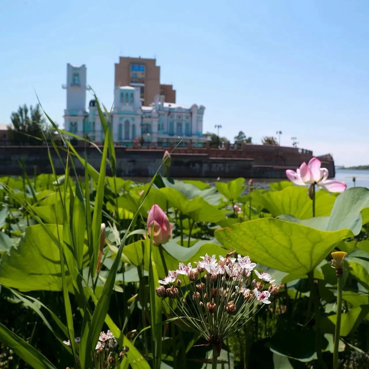 ☀️ 14 сентября в Астрахани будет жарко