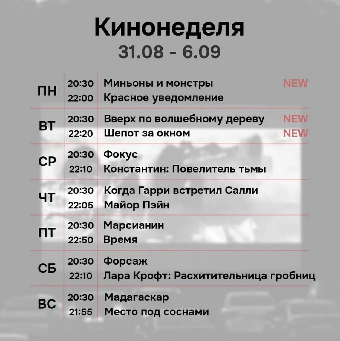 🍂 Начинаем осень с мастер-класса | автокинотеатра | Венецианской сказки