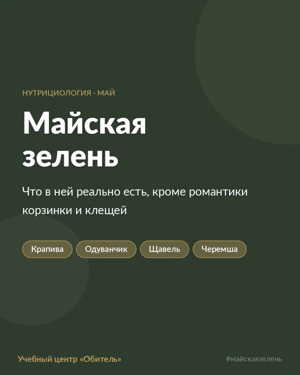 Майская зелень: что в ней реально есть, кроме романтики корзинки и клещей. Детали в пос...