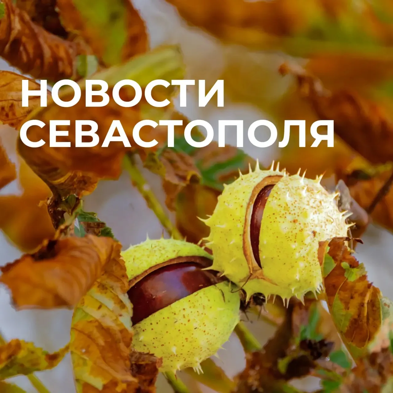 Коротко о главном: