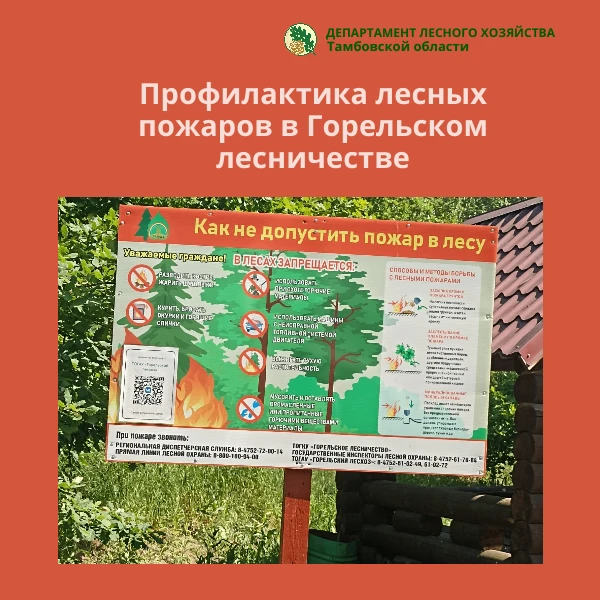 🌲 Под контролем ТОГКУ «Горельское лесничество» ведется активная работа по профилактике лесных пожар