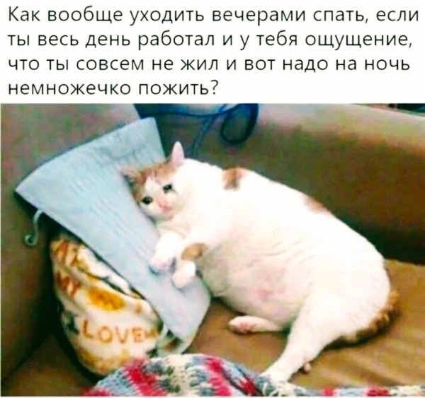 📍 Рязань
