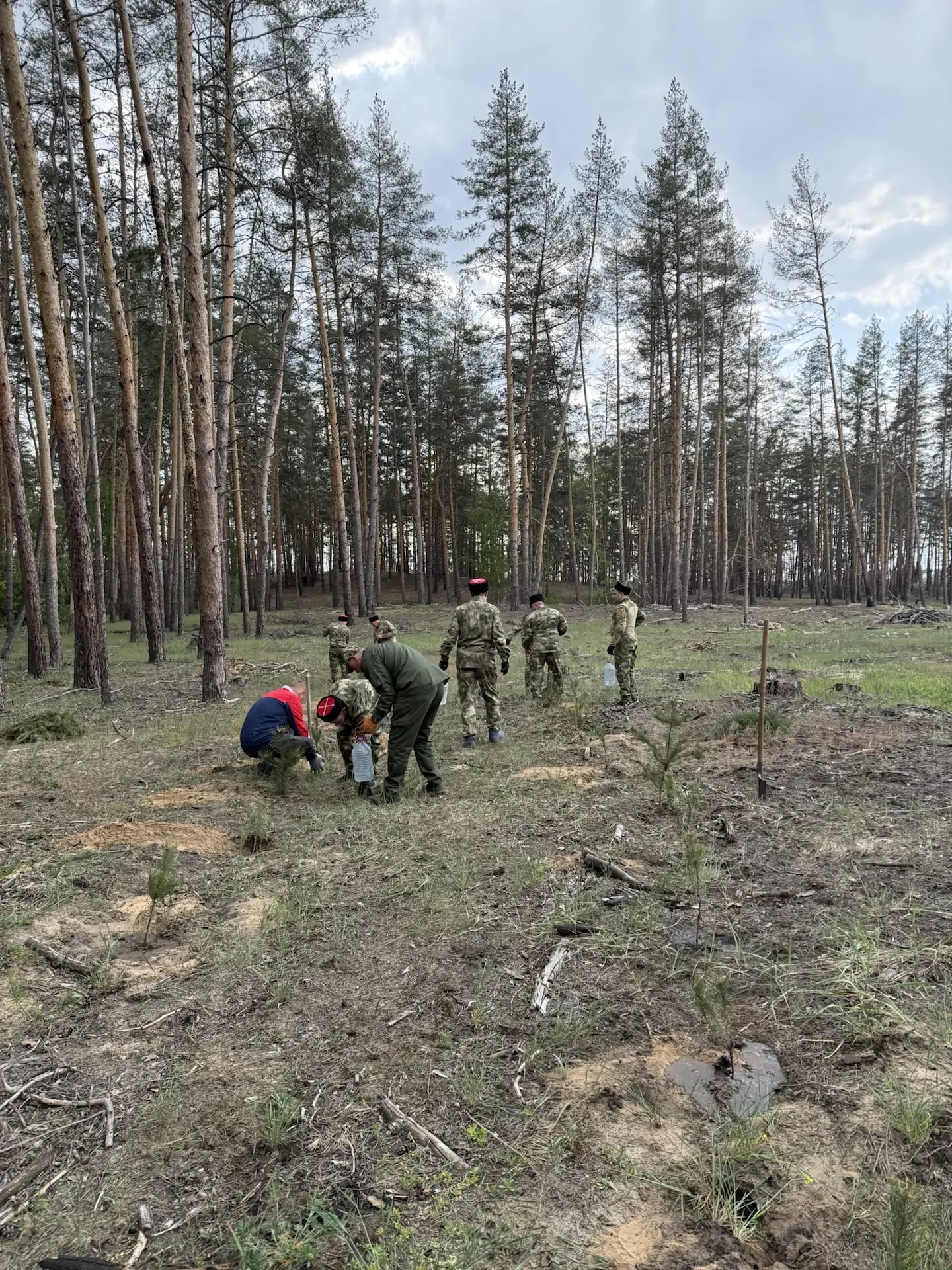 Кременской лесхоз и казачество объединили усилия в деле лесовосстановления.