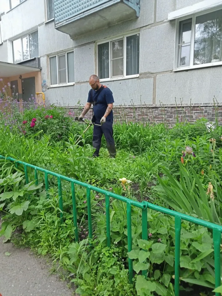Покос травы на придомовой территории по адресам:
📍ул. Ладожская 137, Ладожская 49, Ладожская 57