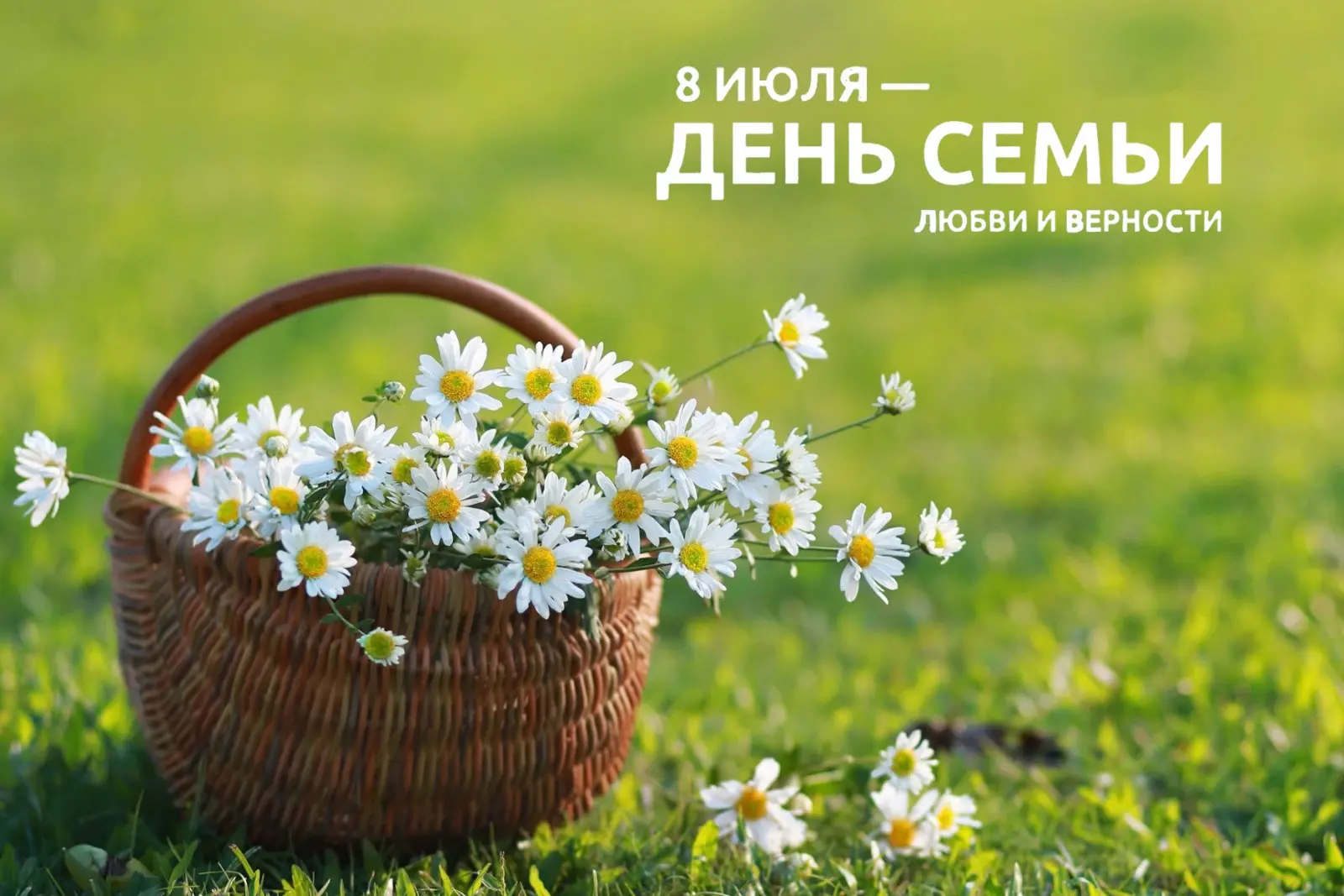 С Днем Семьи, Любви и Верности ❤️
Семья – это основа общества, источник тепла, радости и вдохновения