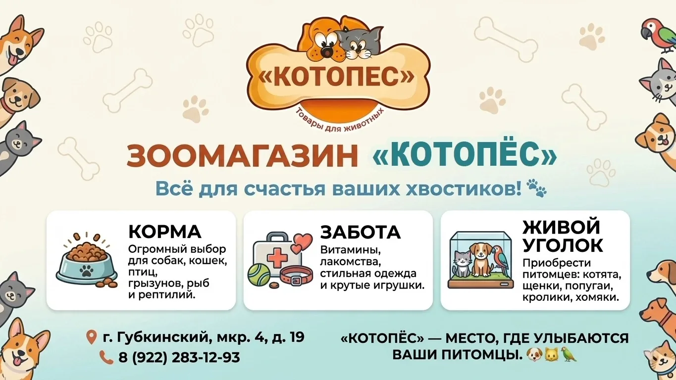 🐾 Зоомагазин «Котопёс» в Губкинском: всё для счастья ваших хвостиков!