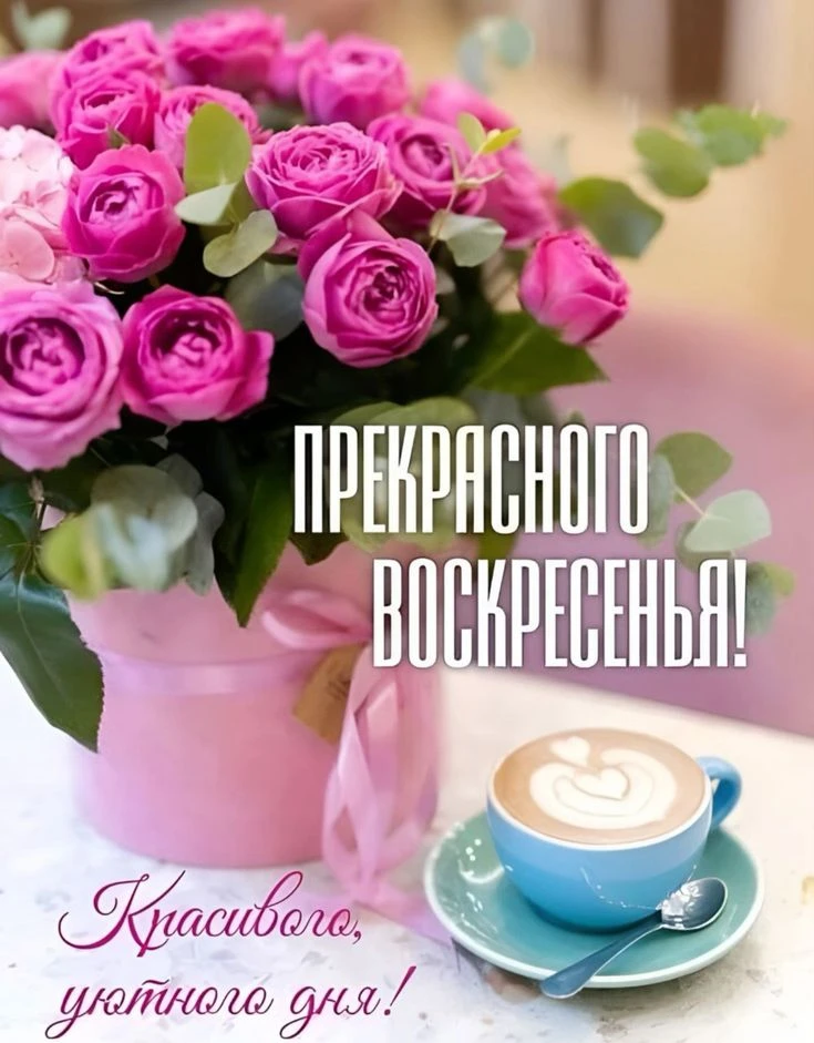 С добрым воскресным утром! ☀️  Пусть этот день начнётся с чашки ароматного кофе или чая и ощущения, 