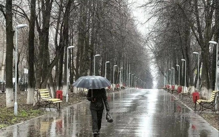 Во второй половине сентября в Кировской области резко похолодает