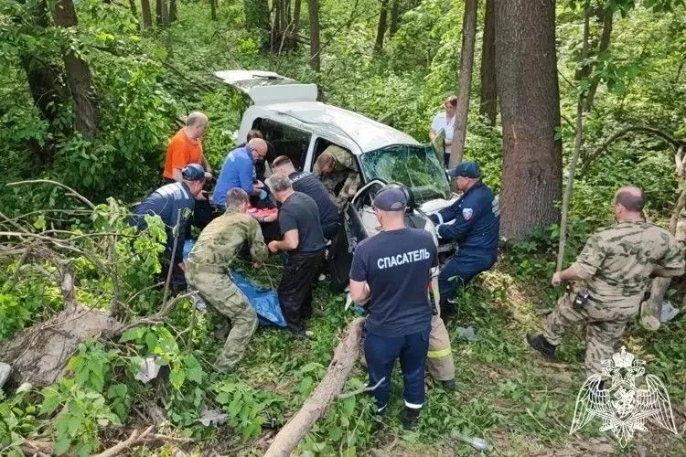 🚨 Спасение на трассе: росгвардейцы вытащили заблокированную в искореженной машине женщину

На трасс