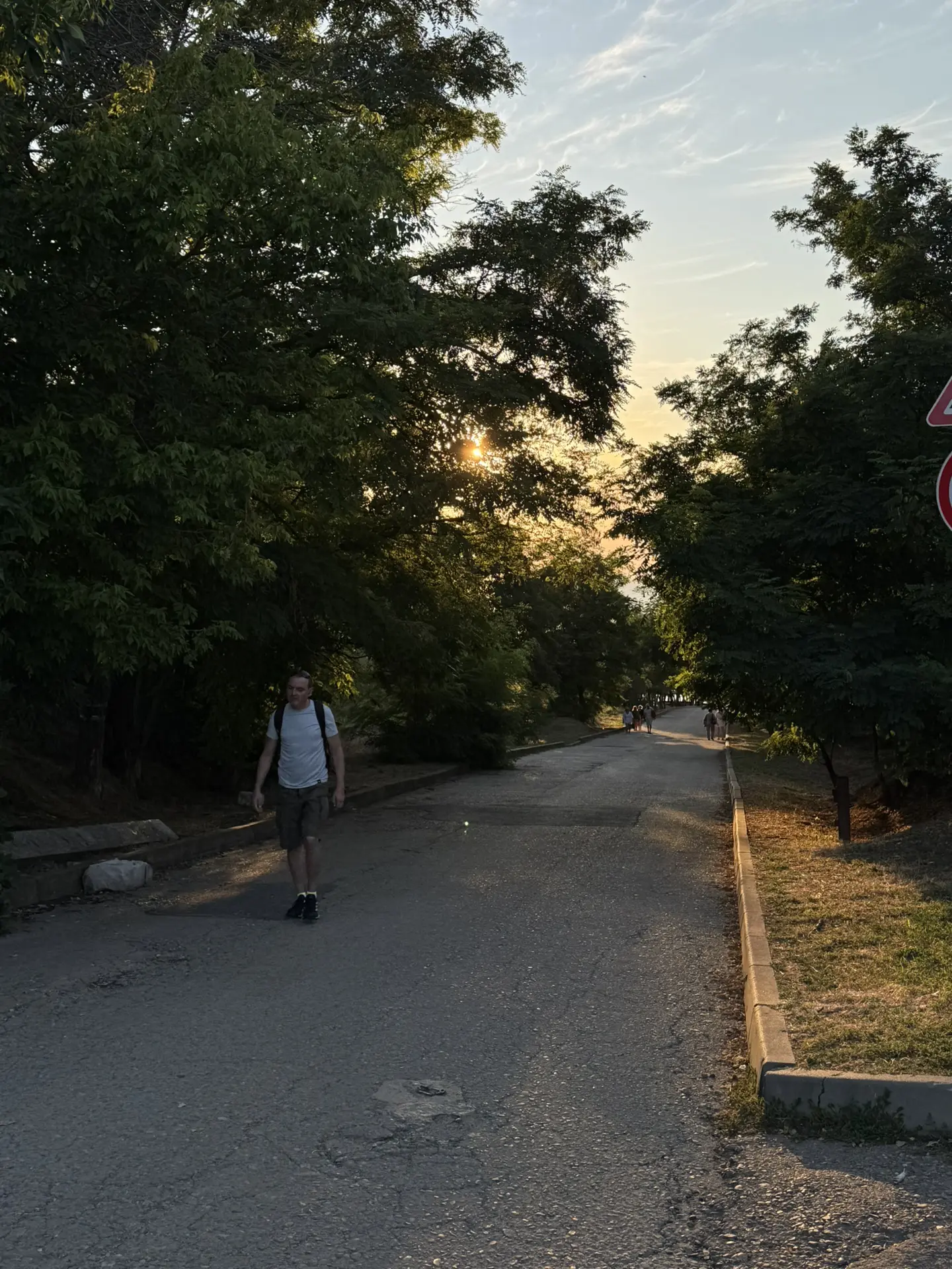 Аллея со стороны висты 🙂‍↔️