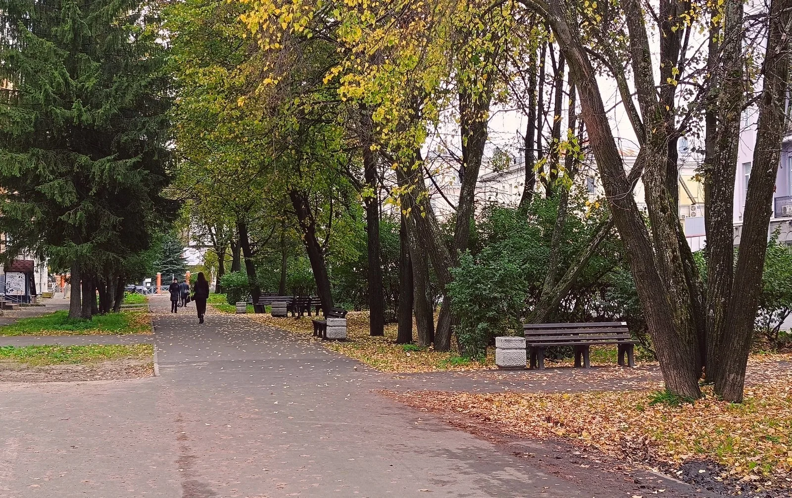Понедельник в Архангельске пройдет без дождей. Осадков сегодня почти не ожидается — мен...