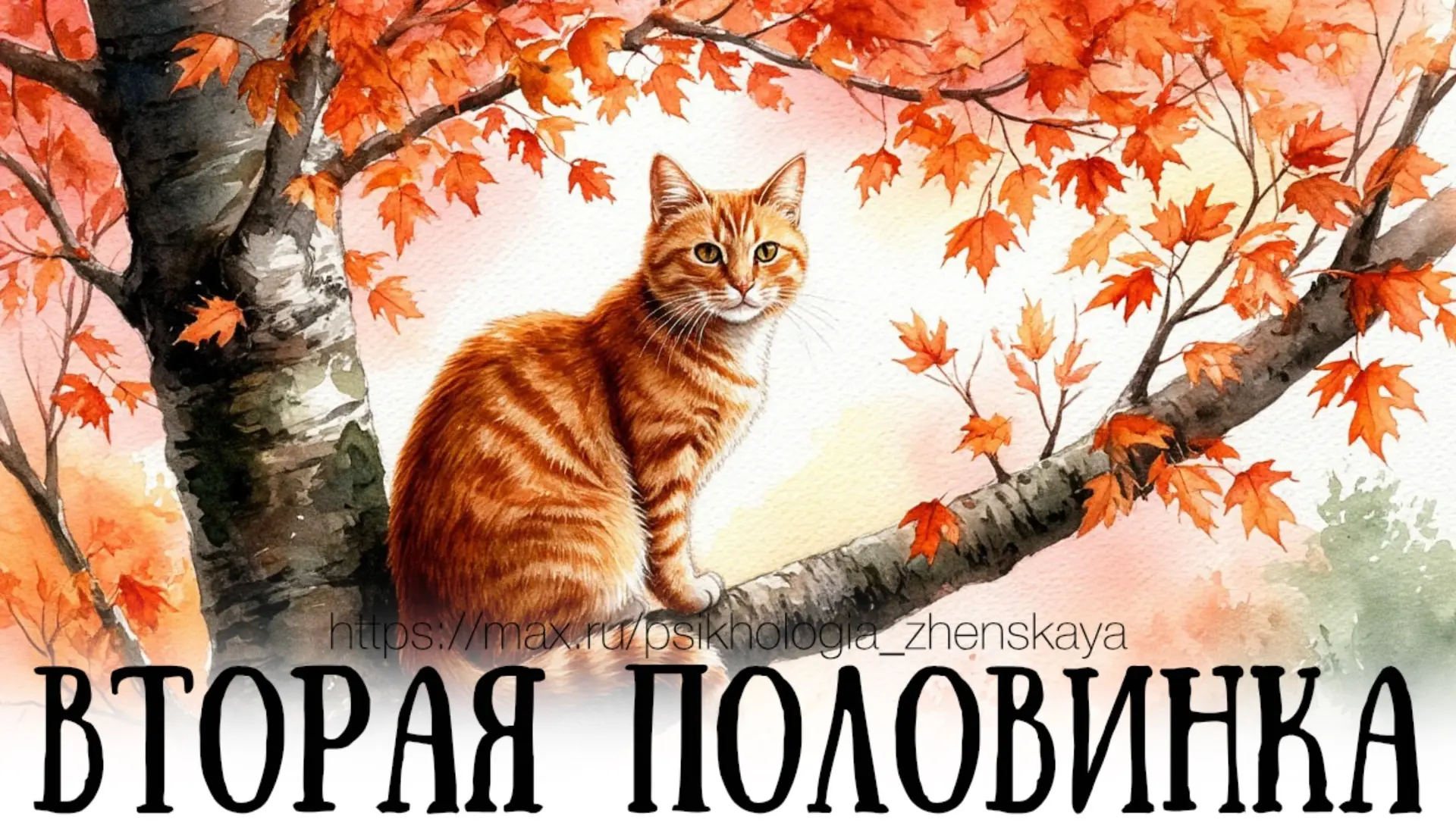 Огонек привык жить один.