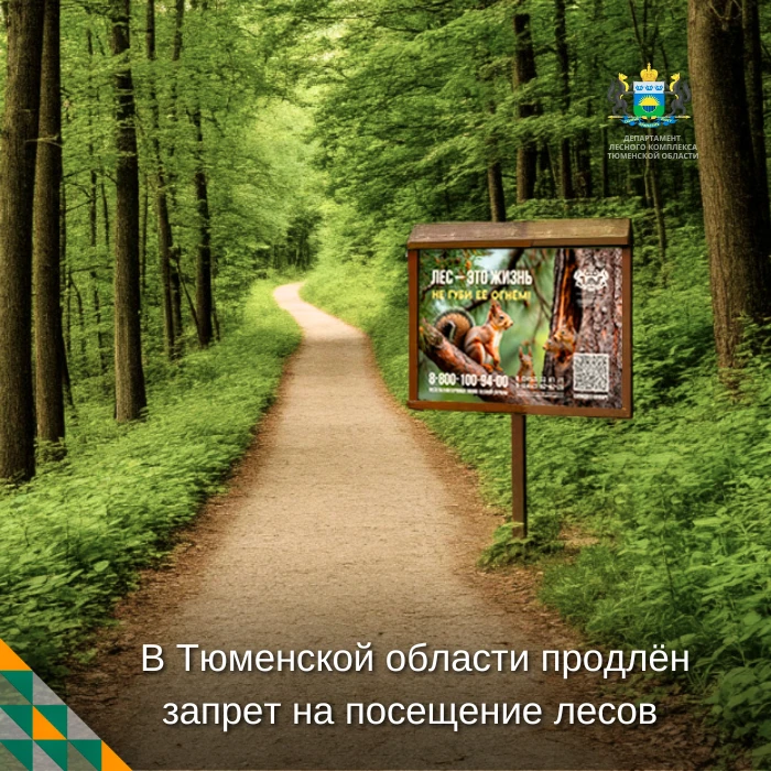 ⚠ В Тюменской области до 28 июня продлён запрет на посещение лесов