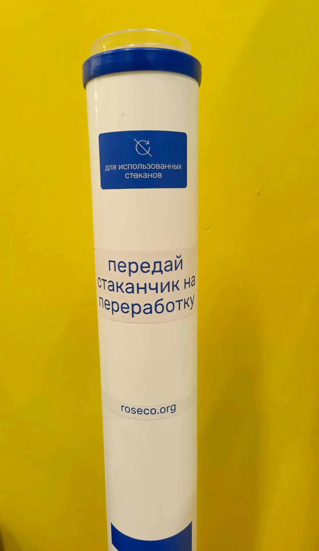 Стаканчик в дело! ♻️   Ученики школы №1290 приняли участие в проекте «Генеральная уборка» от Движени