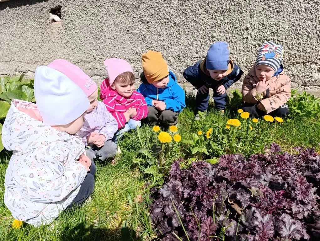 ☀️13 мая в нашем детском саду прошёл День одуванчика — яркий и познавательный праздник,...