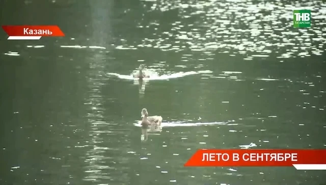😳Сегодня, 24 августа, воздух в Татарстане прогреется до +28 градусов. Об этом сообщает...
