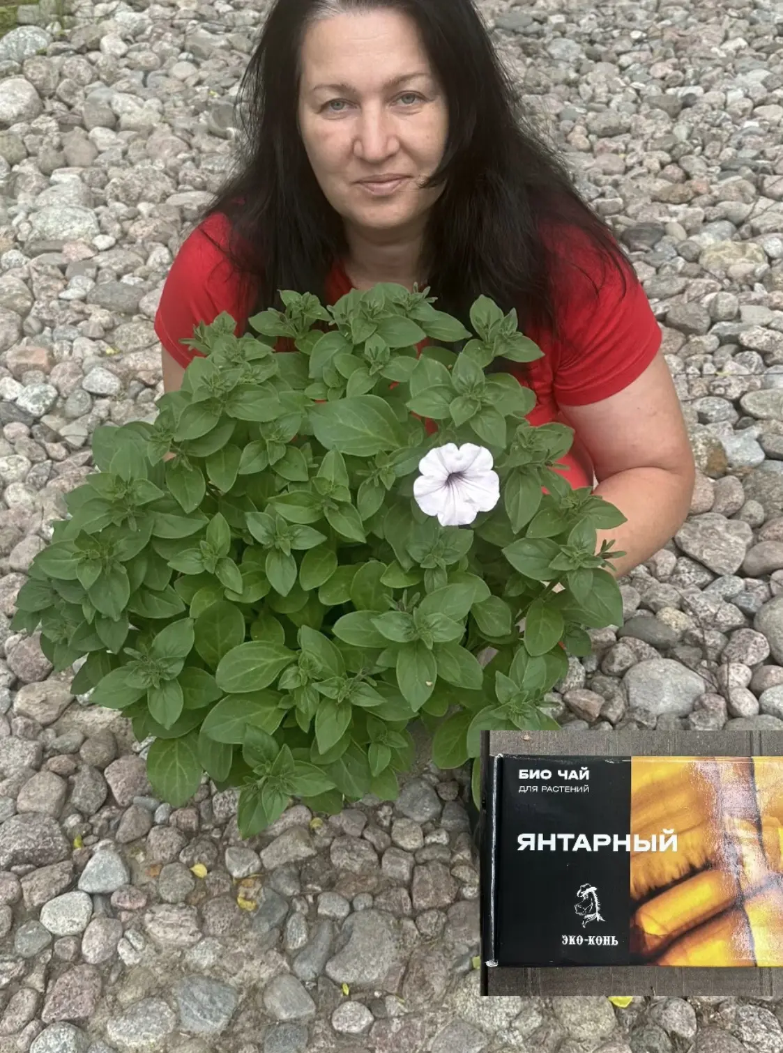 Реанимация растений 🌱