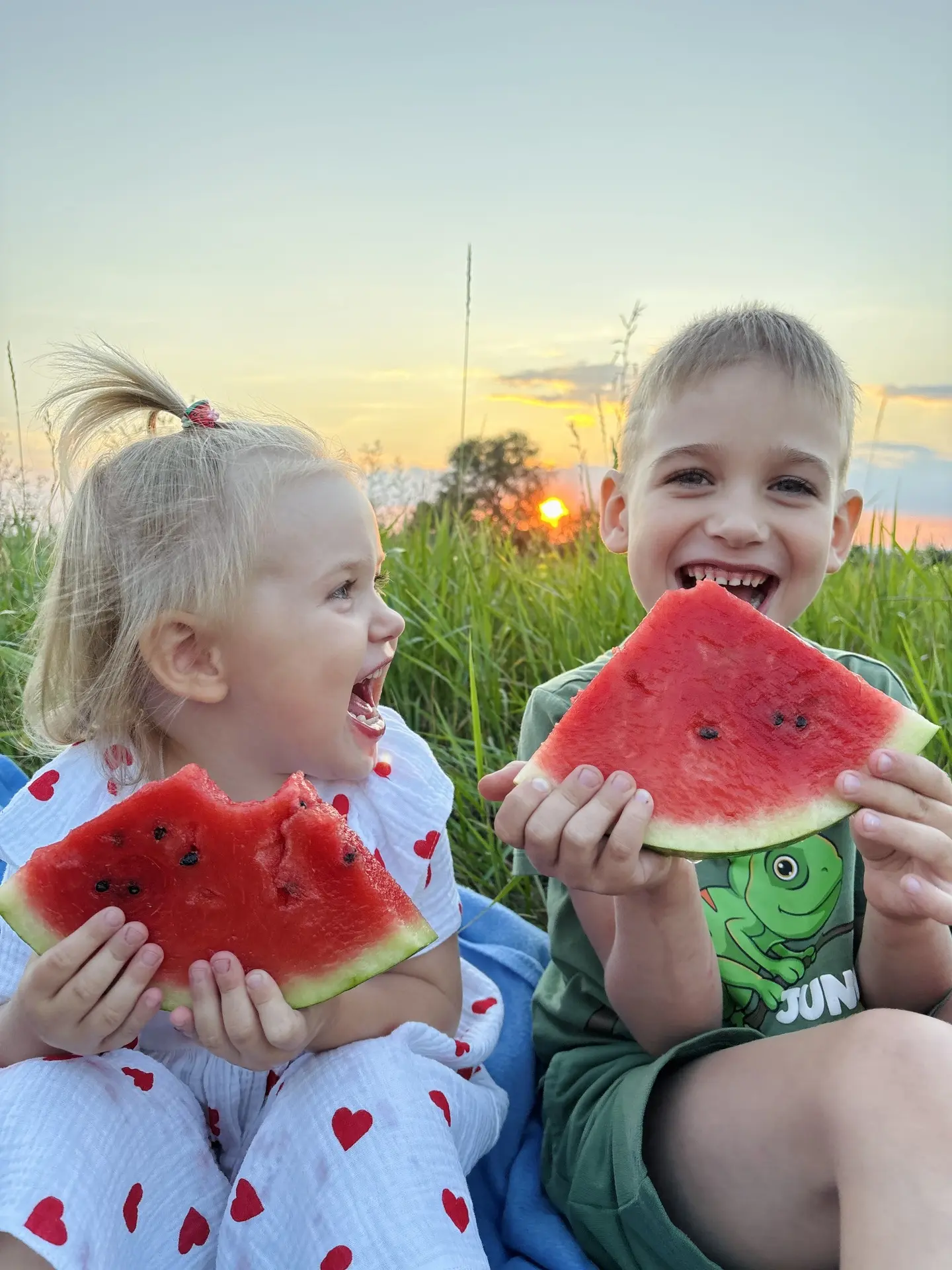 Так выглядит идеальное лето в одном кадре. 🍉