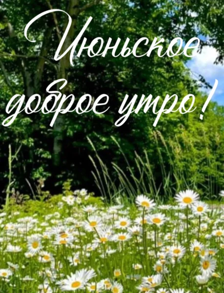 С добрейшим утром! Хорошего дня! Там, где дождики, желаю солнышка, там, где жарко, немного прохлады 