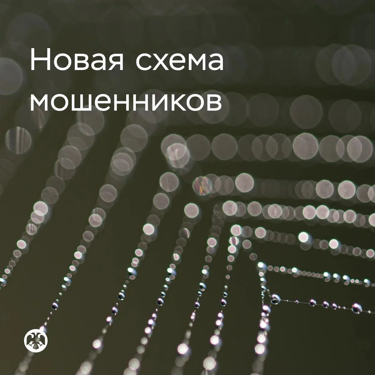 ✅Новая схема обмана – «замена счета в Центробанке».
В переписке мошенники могут присылать «видеоинст
