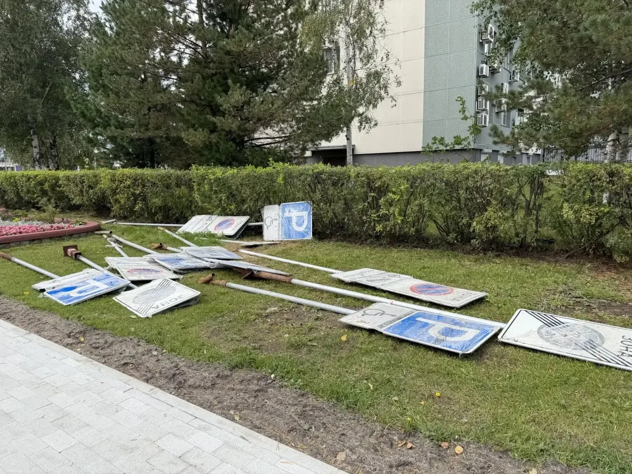 Самый знаковый газон в Сургуте