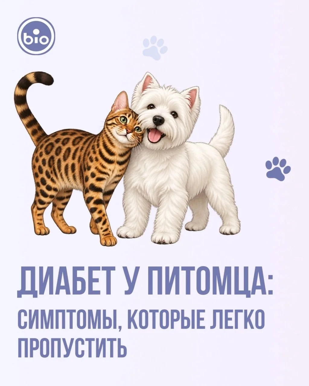 Сахарный диабет у питомца — не приговор, если вовремя заметить и начать лечение.