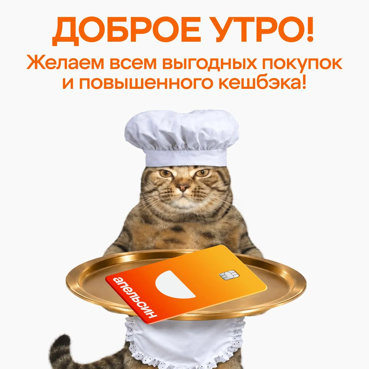 Изображение 1 к публикации «Апельсин»