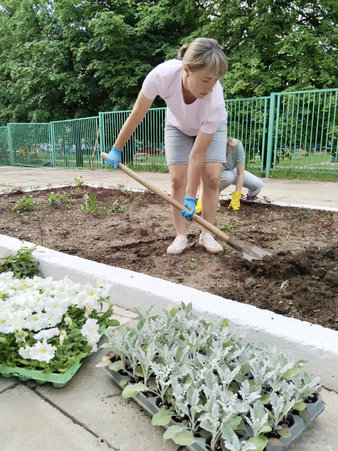 🌷 Цветочная феерия: как «Школьная клумба» объединила учеников и родителей!  В нашей школе стало ещё 