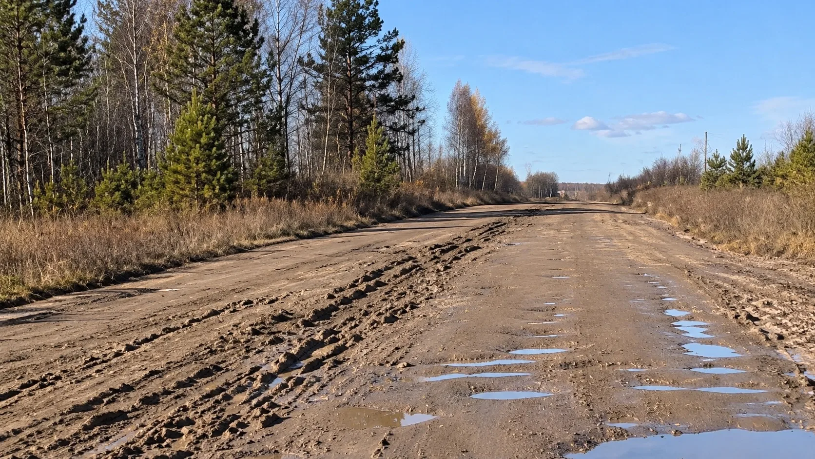 👍 🚨 Жители пожаловались на дорогу без асфальта: Бастрыкин поручил провести проверку в...